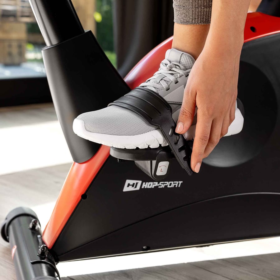 Rower elektryczno-magnetyczny H