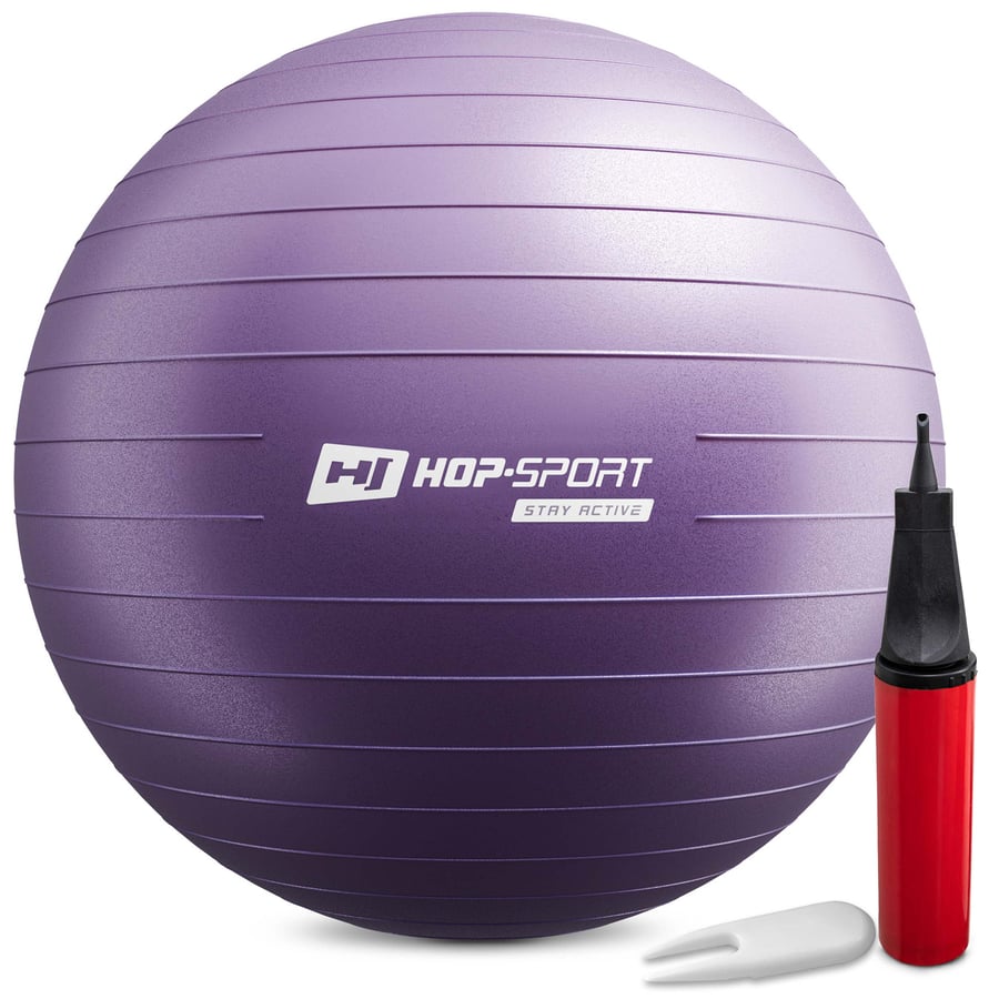 Gym Ball 65cm w/ Pump - 1