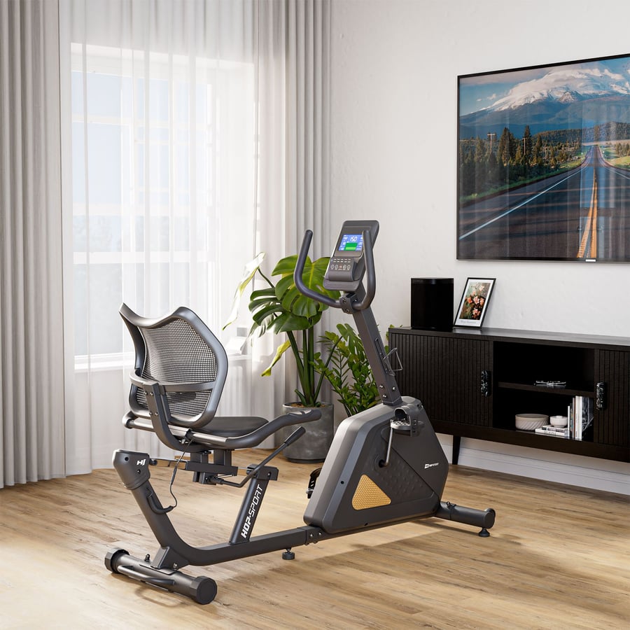 Rower elektryczno-magnetyczny H - 2