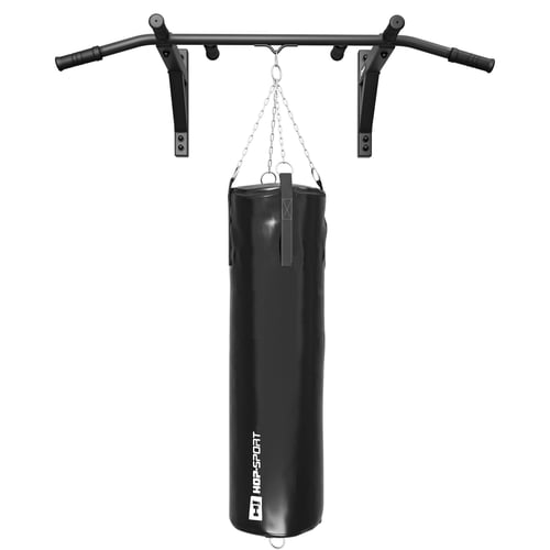 Wall Mounted Pull Up Bar HS-200