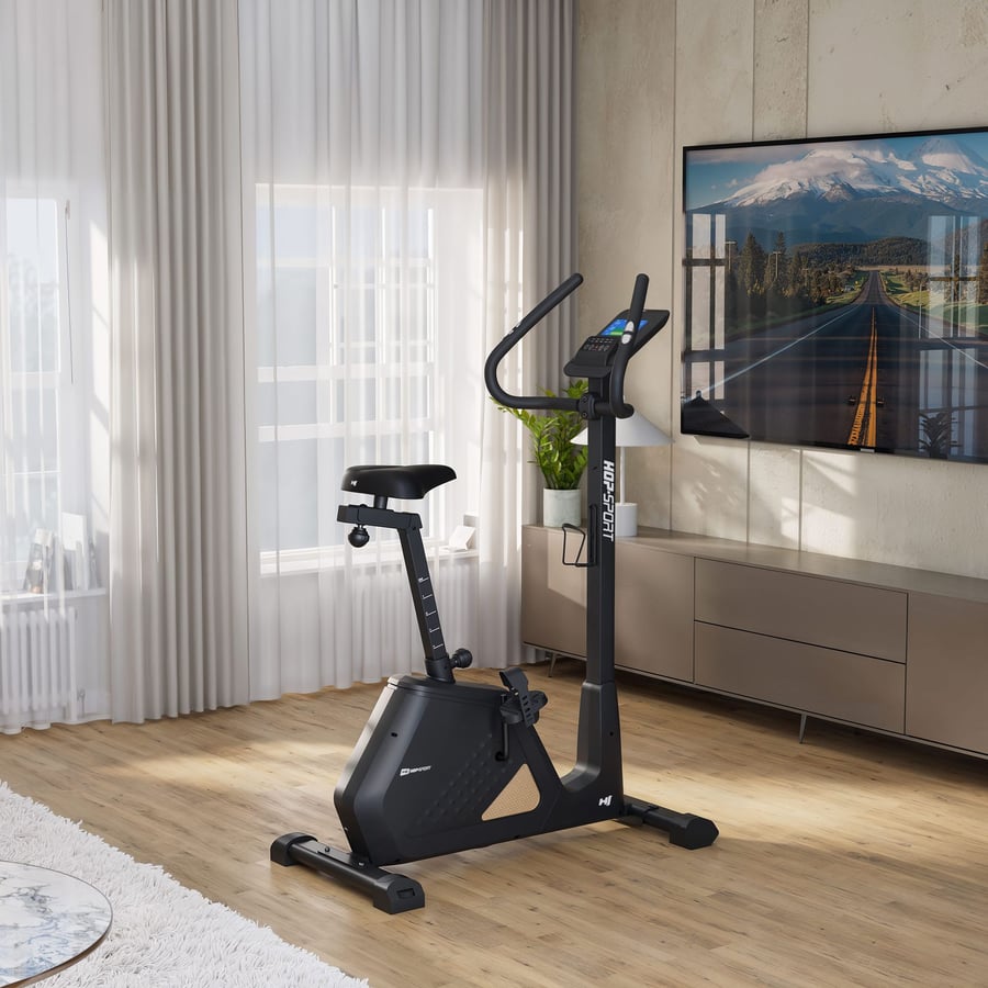 Rower elektryczno-magnetyczny H - 6