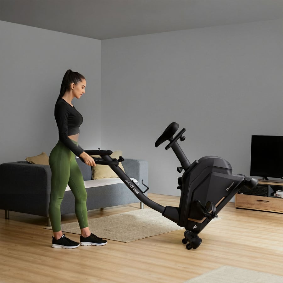 Rower elektryczno-magnetyczny H - 4