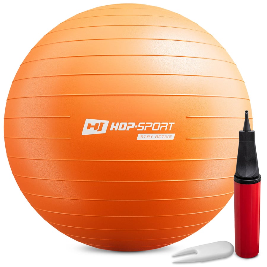 Gym Ball 65cm w/ Pump - 1