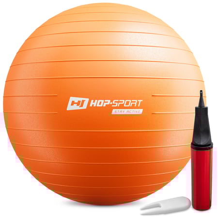 Gym Ball 65cm w/ Pump - 1