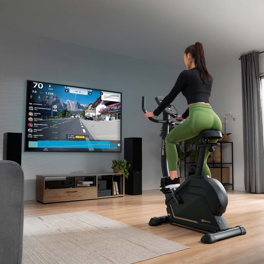 Rower elektryczno-magnetyczny H - 5