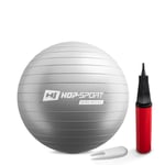 Gym Ball 45cm w/ Pump - 0