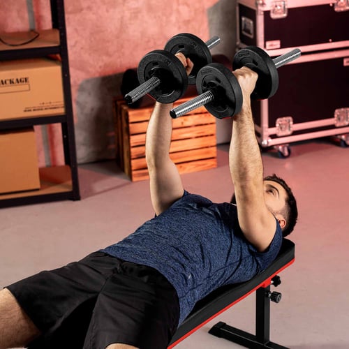 Dumbbell Set 2x10 kg Pro