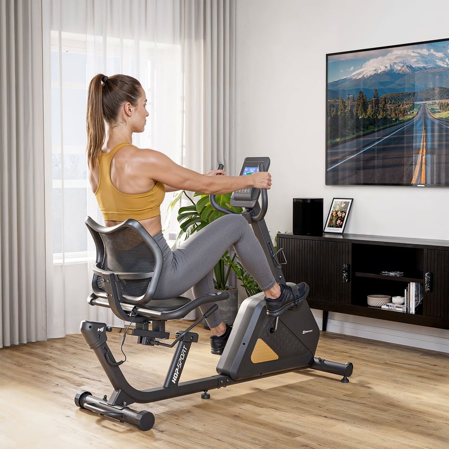 Rower elektryczno-magnetyczny H - 10