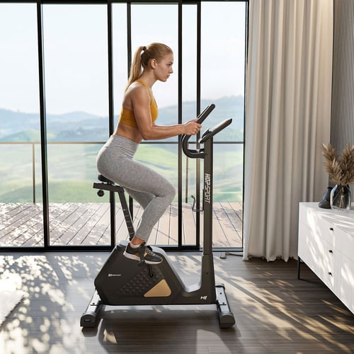 Rower elektryczno-magnetyczny H