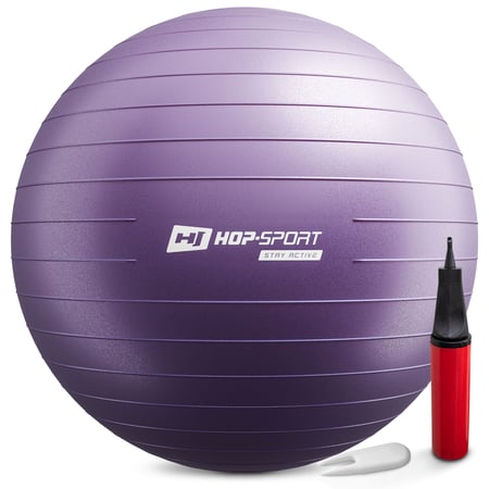Gym Ball 85 cm w/ Pump - 1