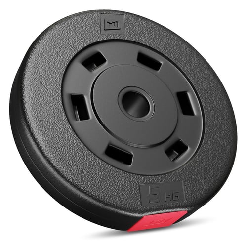 Standard Weights Set 30 kg (2x5