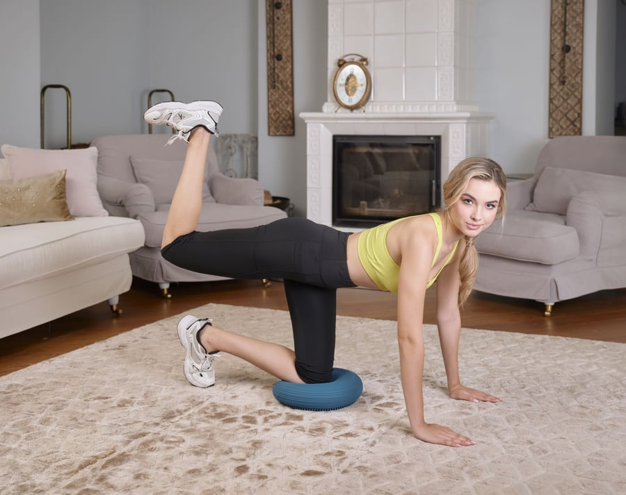 Balance cusion HS-R034BC - ocea